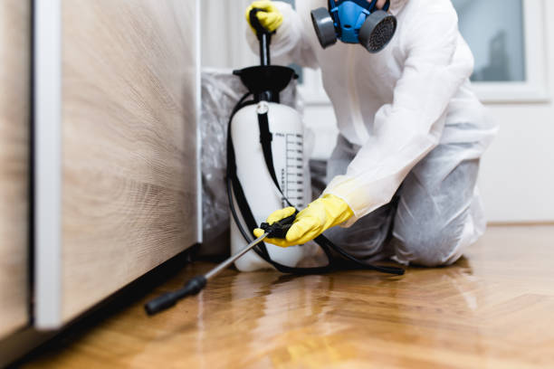 Best Exterminator Services  in Ravena, NY